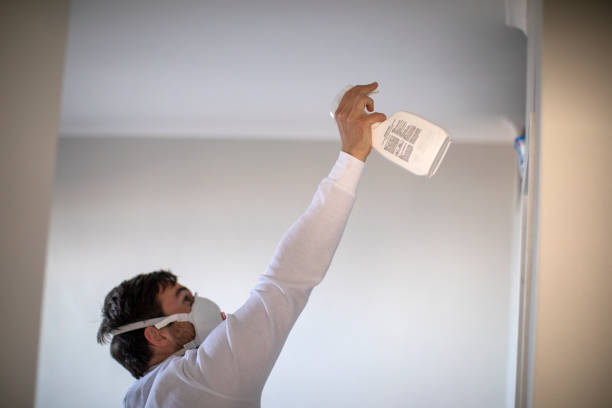 Trusted Arcanum, OH Mold Removal Experts