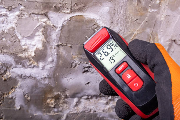 Best Fast Mold Removal  in Arcanum, OH