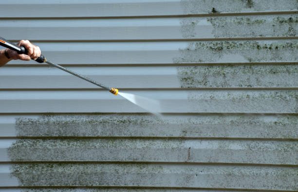 Best Mold Damage Repair  in Arcanum, OH