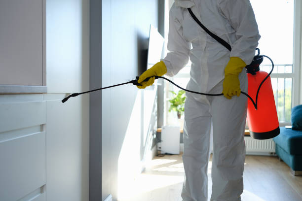 Best Office Mold Removal Services  in Arcanum, OH